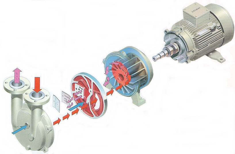 Busch DOLPHIN Vacuum Pumps & Compressors | Busch Global